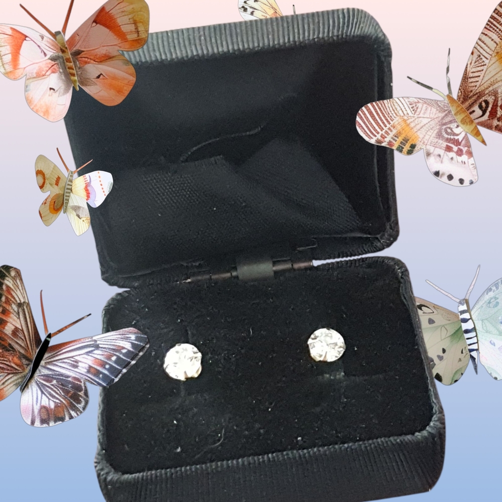 Elegant Silver Stud Earrings